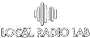 Broadcaster Logo